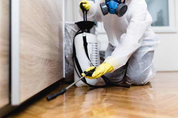 Best Emergency Pest Control  in Covington, TN