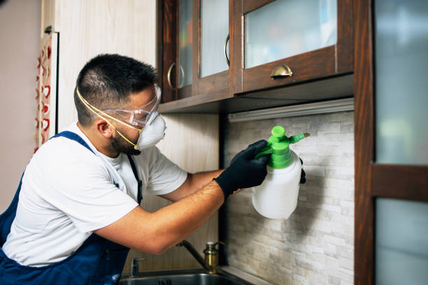 Best Termite Control Services  in Covington, TN