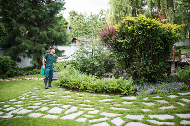 Best Residential Pest Control  in Covington, TN