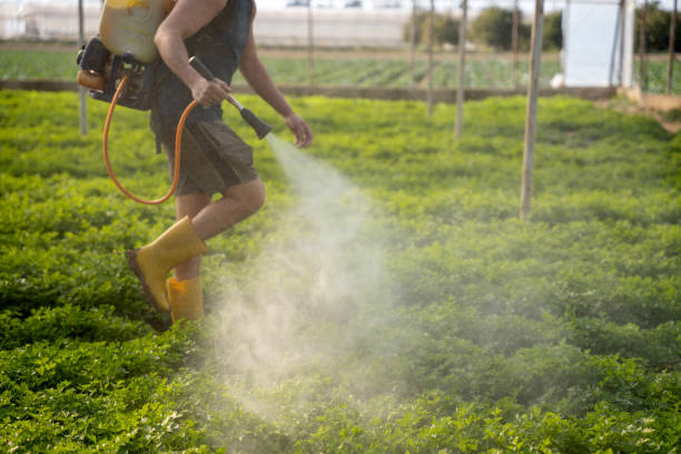 Best Affordable Pest Control Services  in Covington, TN