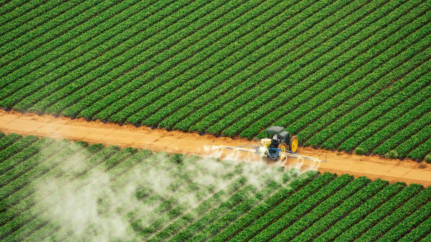 Best Commercial Pest Control Services  in Covington, TN