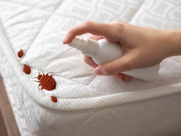 Best Pest Prevention Services  in Covington, TN