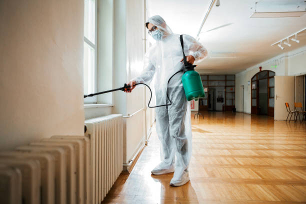 Best Flea Control Services  in Covington, TN