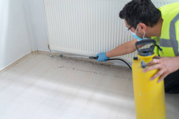 Best Pest Inspection Near Me  in Covington, TN